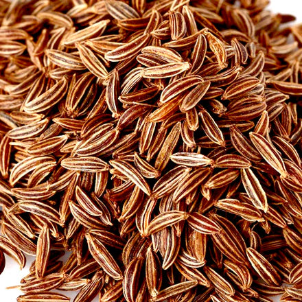 Caraway (Egyptian) Pure Essential Oil