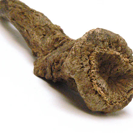 Costus Root (Indian) Pure Essential Oil