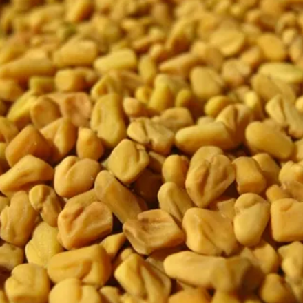 Fenugreek (Indian) Pure Essential Oil