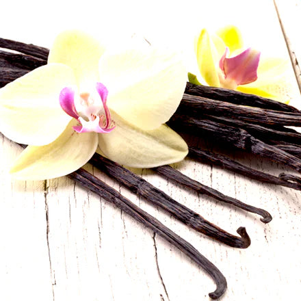 Vanilla Oleoresin 10-Fold (Indian) Pure Essential Oil