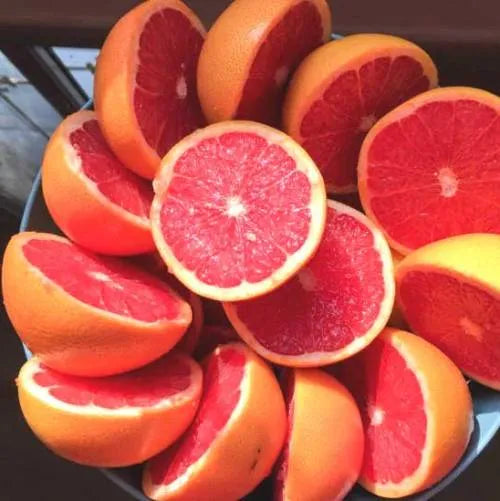 Pink Grapefruit Natural Blend (Italian) Pure Essential Oil