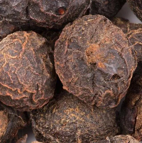 Sugandh Kokila (Nepali) Pure Essential Oil