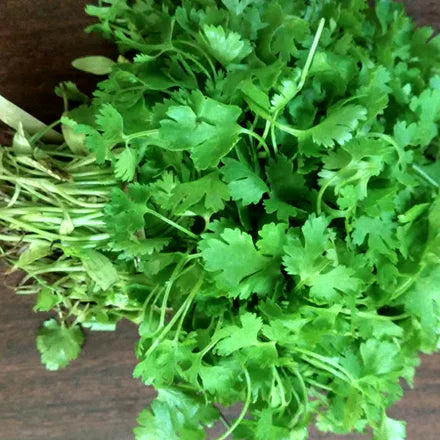 Parsley (Indian) Pure Essential Oil