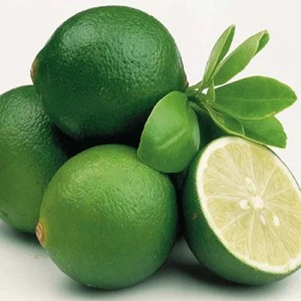 Key Lime (Peruvian) Pure Essential Oil