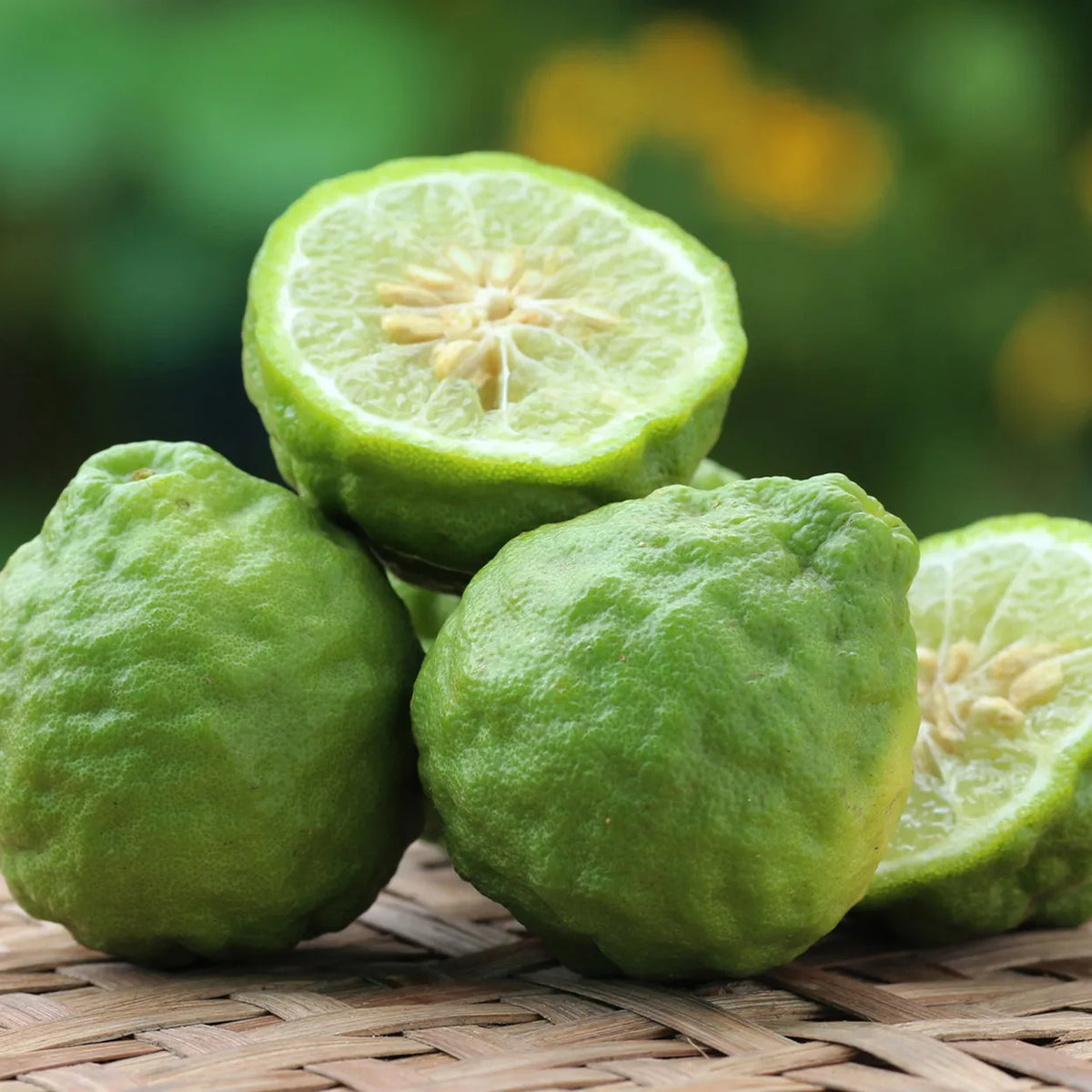 Bergamot Organic Essential Oil (Italian) Pure Essential Oil