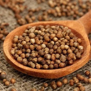 Coriander Seed (Indian) Pure Essential Oil