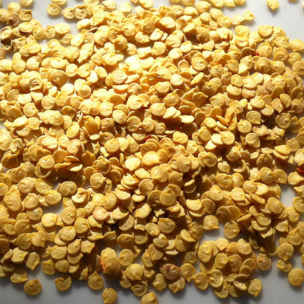 Chili Seed (Indian) Pure Essential Oil
