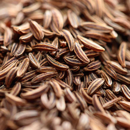 Cumin (Indian) Pure Essential Oil