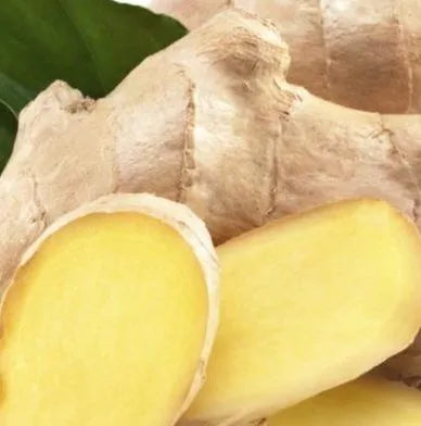 Ginger Root (Fresh) (Indonesian) Pure Essential Oil