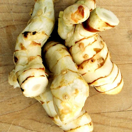 Galangal (Indian) Pure Essential Oil