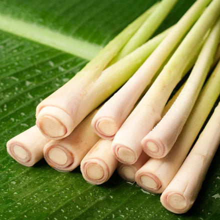 Gingergrass (Indian) Pure Essential Oil
